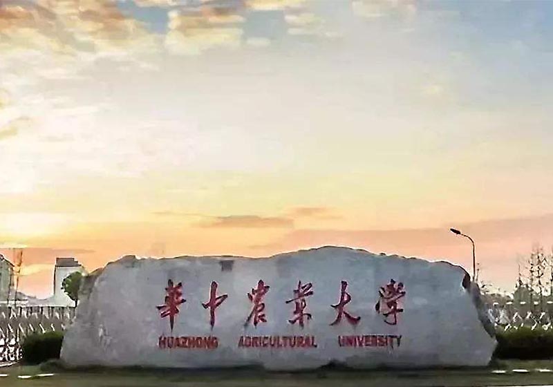 湖北叉車/武漢叉車案例:柴油叉車 湖北叉車/武漢叉車案例:柴油叉車